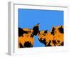 Pop Art Farm III-Annie Warren-Framed Art Print