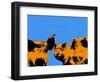 Pop Art Farm III-Annie Warren-Framed Art Print