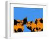 Pop Art Farm III-Annie Warren-Framed Art Print