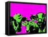 Pop Art Farm VI-Annie Warren-Framed Stretched Canvas