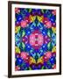 Pop Art Flowers Kalidescope-Howie Green-Framed Giclee Print