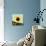 Pop Art Sunflower I-Jacob Green-Art Print displayed on a wall