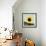 Pop Art Sunflower I-Jacob Green-Framed Art Print displayed on a wall