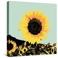 Pop Art Sunflower I-Jacob Green-Stretched Canvas
