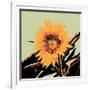 Pop Art Sunflower II-Jacob Green-Framed Art Print