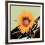 Pop Art Sunflower II-Jacob Green-Framed Art Print