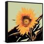 Pop Art Sunflower II-Jacob Green-Framed Stretched Canvas