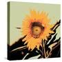 Pop Art Sunflower II-Jacob Green-Stretched Canvas
