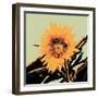 Pop Art Sunflower II-Jacob Green-Framed Art Print