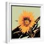 Pop Art Sunflower II-Jacob Green-Framed Art Print