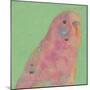 Pop Birds - Flutter-Roy Woodard-Mounted Giclee Print
