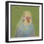 Pop Birds - Hover-Roy Woodard-Framed Giclee Print