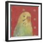 Pop Birds - Soar-Roy Woodard-Framed Giclee Print