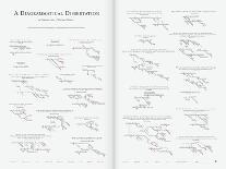 A Diagrammatical Dissertation on Opening Lines of Notable Novels-Pop Chart Lab-Mounted Art Print