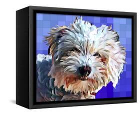 Pop Dog V-Kim Curinga-Framed Stretched Canvas