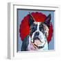 Pop Dog VII-Kim Curinga-Framed Art Print