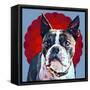 Pop Dog VII-Kim Curinga-Framed Stretched Canvas