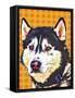 Pop Dog XII-Kim Curinga-Framed Stretched Canvas