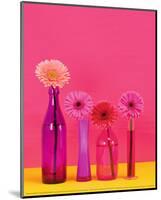 Pop Flowers-Camille Soulayrol-Mounted Art Print