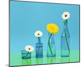 Pop Flowers-Camille Soulayrol-Mounted Art Print