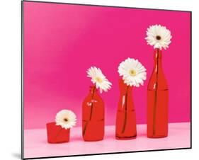 Pop Flowers-Camille Soulayrol-Mounted Art Print