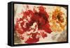 Pop Flowers-Sarah Ward-Framed Stretched Canvas