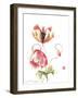 Pop Goes the Poppy-Nan Rae-Framed Art Print