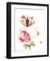 Pop Goes the Poppy-Nan Rae-Framed Art Print