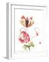 Pop Goes the Poppy-Nan Rae-Framed Art Print