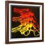 Pop Gun 1-Abstract Graffiti-Framed Giclee Print