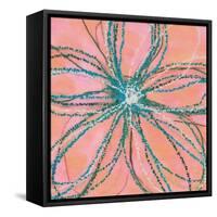 Pop Petal XII-Ricki Mountain-Framed Stretched Canvas