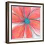 Pop Petal XVII-Ricki Mountain-Framed Art Print