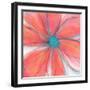 Pop Petal XVII-Ricki Mountain-Framed Art Print