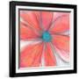 Pop Petal XVII-Ricki Mountain-Framed Art Print