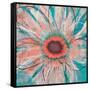 Pop Petal XVIII-Ricki Mountain-Framed Stretched Canvas