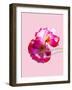 Pop Poppy Love - PASTEL PINK-Dominique Vari-Framed Art Print