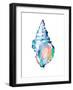 Pop Shell Study II-Ethan Harper-Framed Art Print