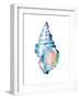 Pop Shell Study II-Ethan Harper-Framed Art Print