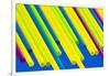 Pop Straws Collection - Colourful-Philippe Hugonnard-Framed Photographic Print