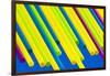 Pop Straws Collection - Colourful-Philippe Hugonnard-Framed Photographic Print