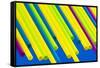 Pop Straws Collection - Colourful-Philippe Hugonnard-Framed Stretched Canvas