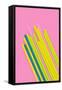 Pop Straws Collection - Pink & Colourful-Philippe Hugonnard-Framed Stretched Canvas