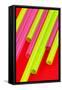 Pop Straws Collection - Red & Green-Philippe Hugonnard-Framed Stretched Canvas