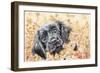 Pop Up-Karen Middleton-Framed Giclee Print