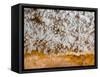 Popcorn Cave Formations-Scott T. Smith-Framed Stretched Canvas