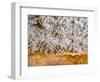 Popcorn Cave Formations-Scott T. Smith-Framed Photographic Print