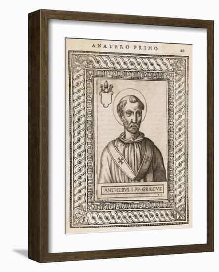 Pope Anterus-null-Framed Art Print