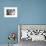 Pope Francis arrives for his weekly general audience in St. Peter's Square at the Vatican-Godong-Framed Photographic Print displayed on a wall