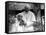 Pope John Paul II Holds His Arm Around Mother Teresa-null-Framed Stretched Canvas