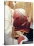 Pope John Paul II Kisses the Foot of a Clergyman-null-Stretched Canvas